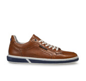floris-van-bommel-sneakers-taupe-sfm-10202-26-01-terri-07-06